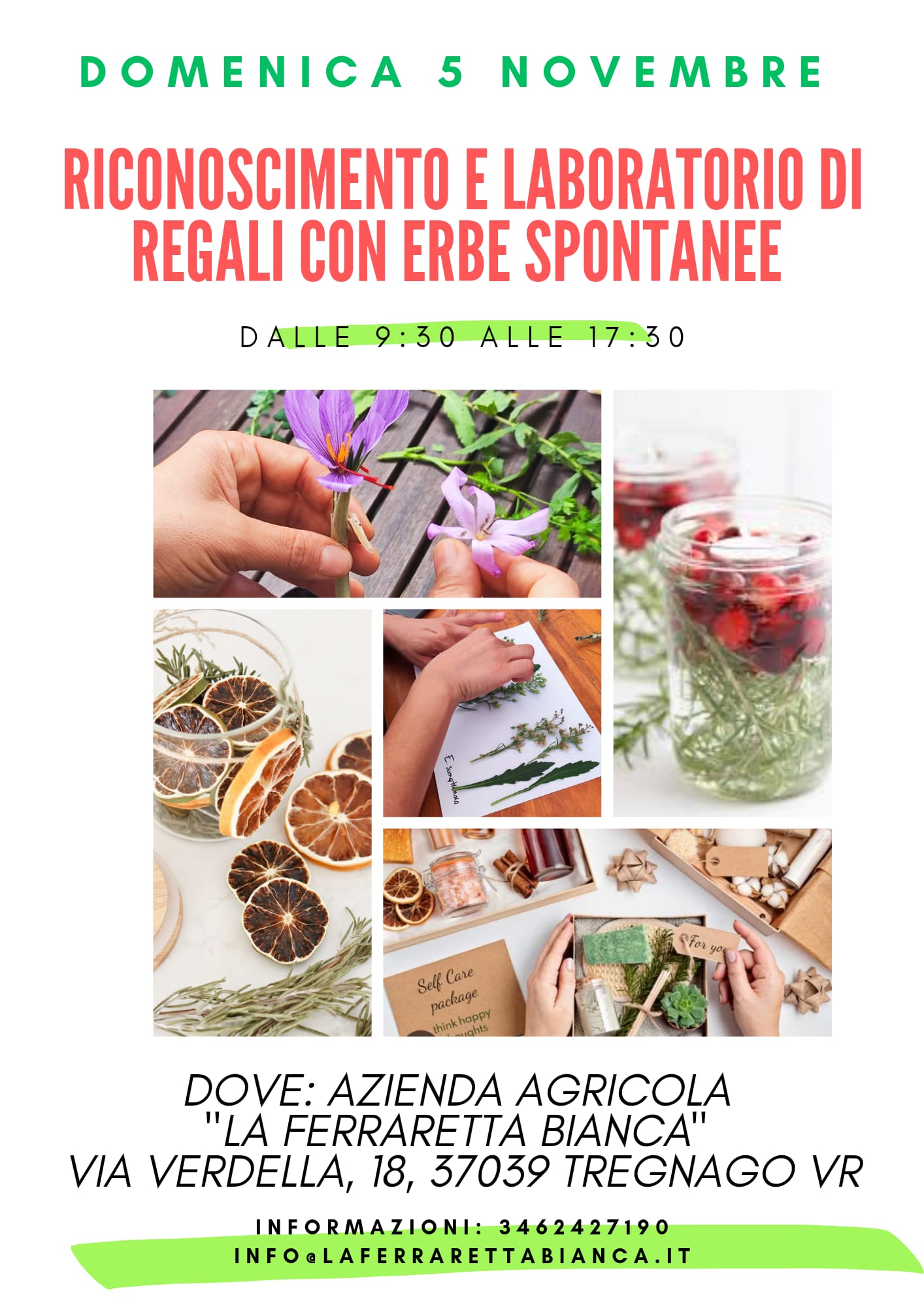 CAPRAFEST: riconoscimento erbe spontanee e Regali di Natale autoprodotti