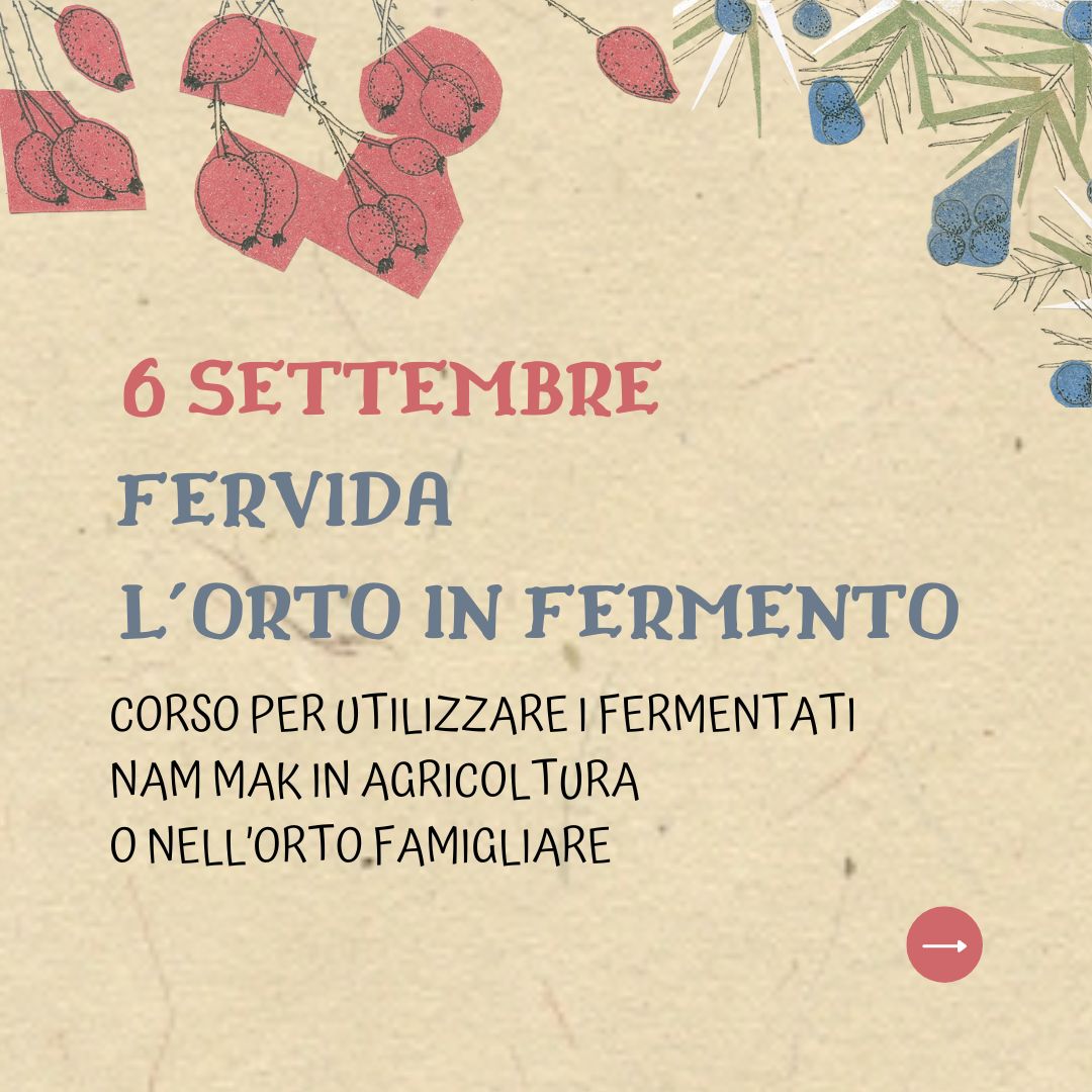 FERVIDA: orto in fermento