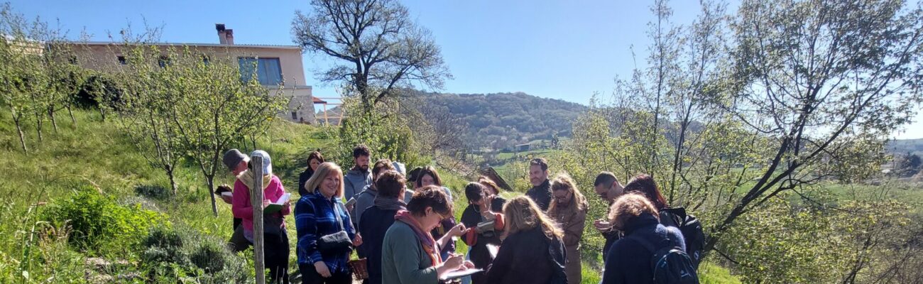 Esplorazioni botaniche: passeggiata riconoscimento e prato che si fuma