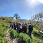 Esplorazioni botaniche: passeggiata riconoscimento e prato che si fuma