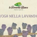 Yoga nella lavanda