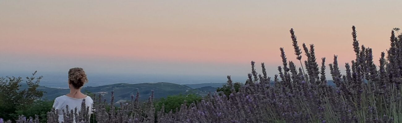Meditazione nella lavanda al tramonto