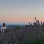 Meditazione nella lavanda al tramonto