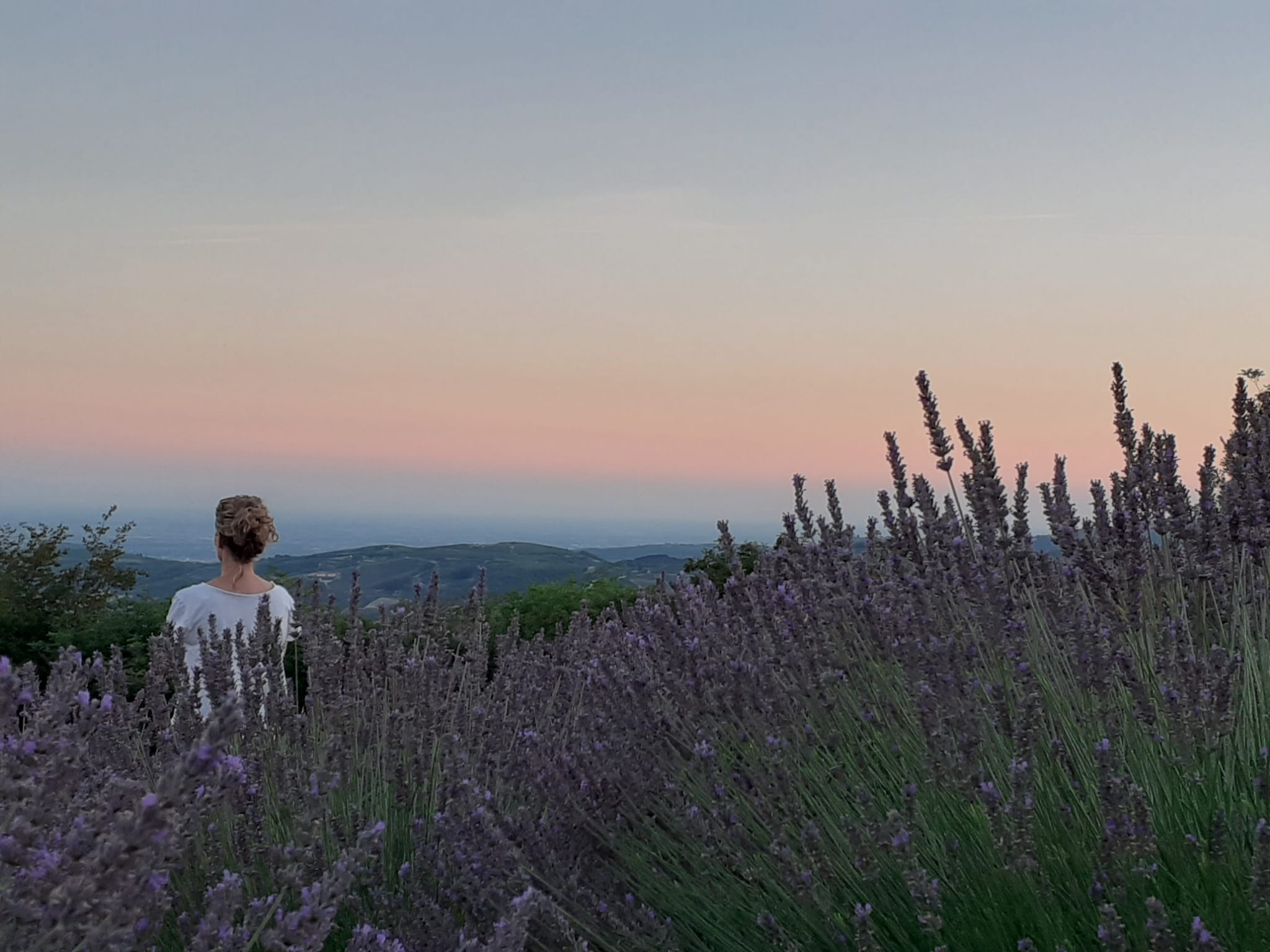 Meditazione nella lavanda al tramonto
