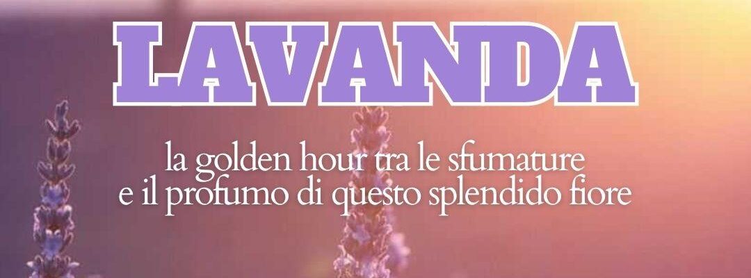 Trekking con tramonto nella lavanda