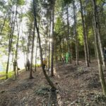 La radice del benessere