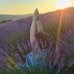 Lezioni di yoga nella lavanda