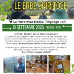 Esplorazioni botaniche: passeggiata e corso di cucina con le erbe